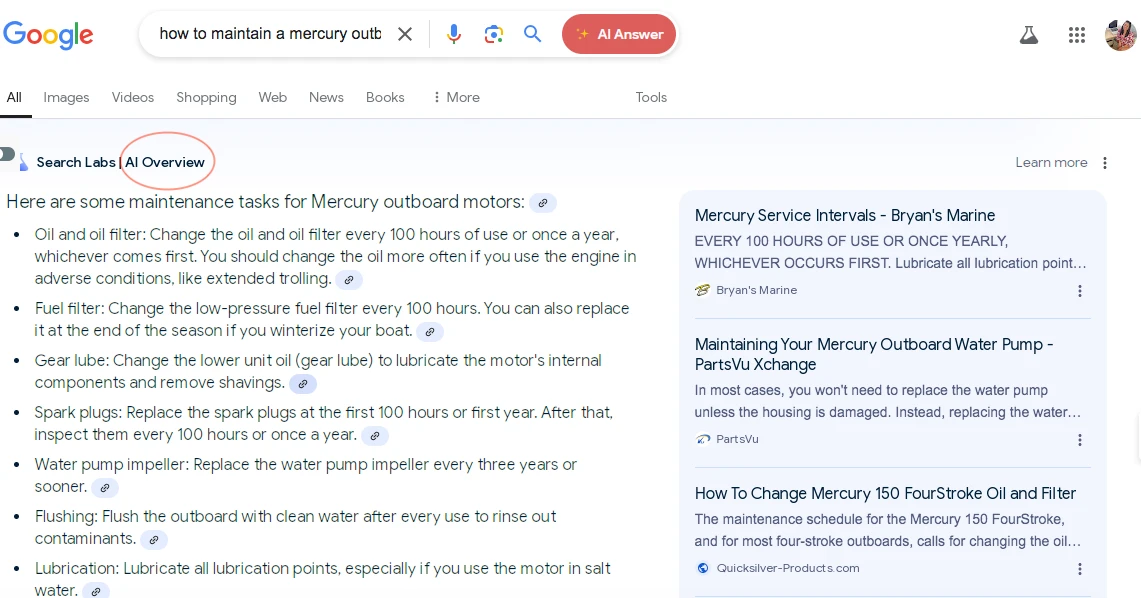 Google AI Overview